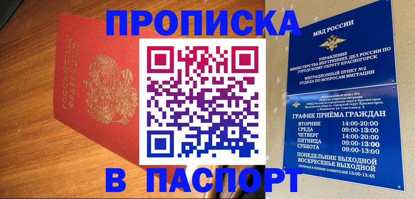прописка 2025 в Новороссийске
